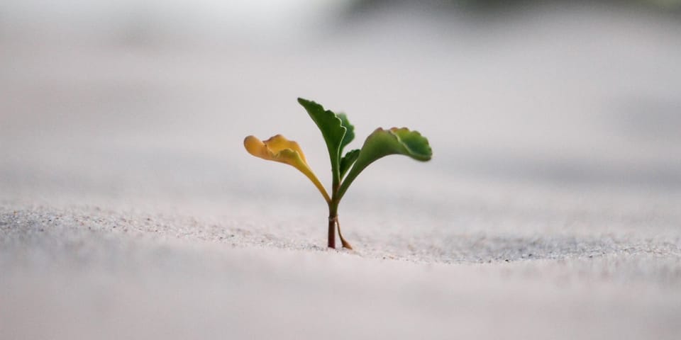 自我成長，不是往上爬，而是往內走